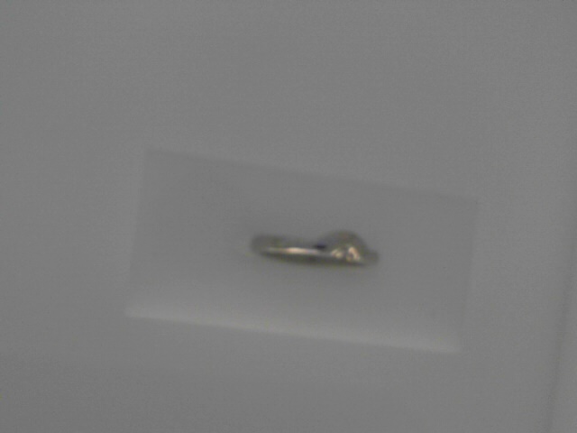 White 14 Karat Polished Band Ring
Size: 5
Gram Weight 2.94 gr