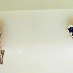 Earrings with Diamonds 
14 Karat White G/H Diamonds Earrings 
 
6 Center Diamonds Shape: Round; Clarity: SI1; Colour: G/H With 8 Round Sapphires 0.50 ctw