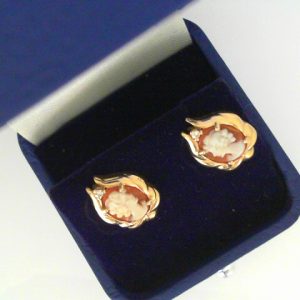 Earrings with Diamonds 
14 Karat White Diamonds Earrings 
 
2 Center Diamonds Shape: Round