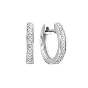 Diamond Earrings 
14 Karat White Diamond Earrings 
Gram Weight 2.6 
10 Center Diamonds Shape: Round 0.05