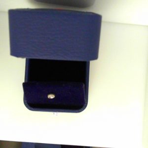 Diamond Earrings 
10 Karat White Diamond Earrings 
 
1 Center Diamond 0.04ct Shape: Round 0.04