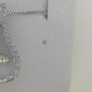 Diamond Pendant 
10 Karat White Diamond Pendant 
 Chain Style: Box 10 Karat White Length: 18in 
1 Center Diamond 0.14ct Shape: Round With 33 Round Diamonds 0.16 ctw