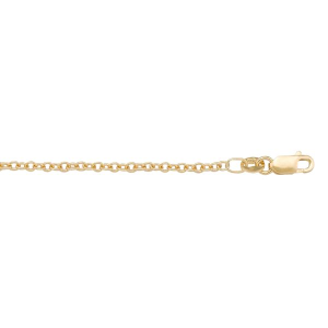Yellow 14 Karat Polished Open Link Chain 
Length 20 in 
Gram Weight 2.64 gr