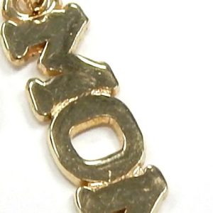 Estate Pendant/Charm
10 Karat Yellow Pendant/Charm
Gram Weight 0.7
MOM