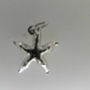 Pendant/Charm
Sterling Silver White Pendant/Charm